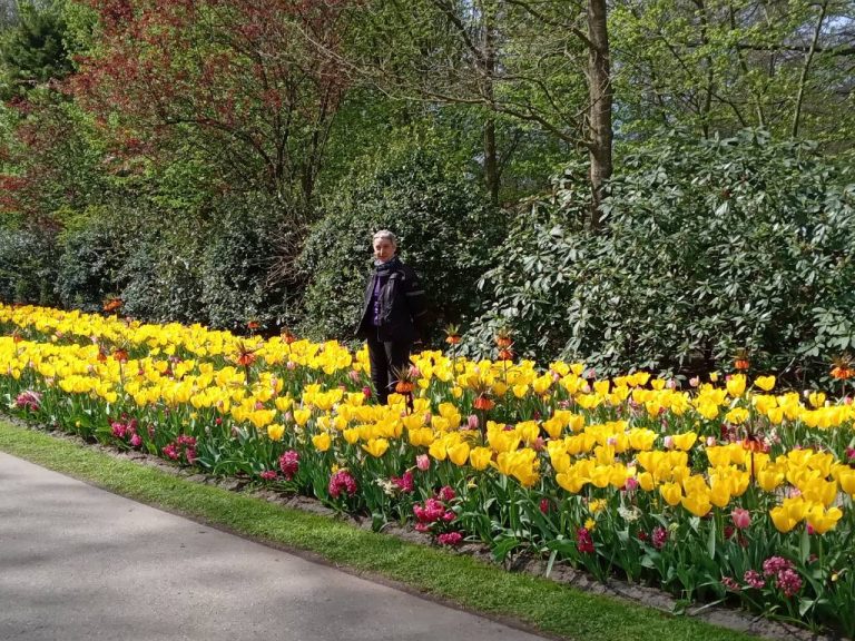 Holland, Belgiumand Vosges guided motorcycle tour